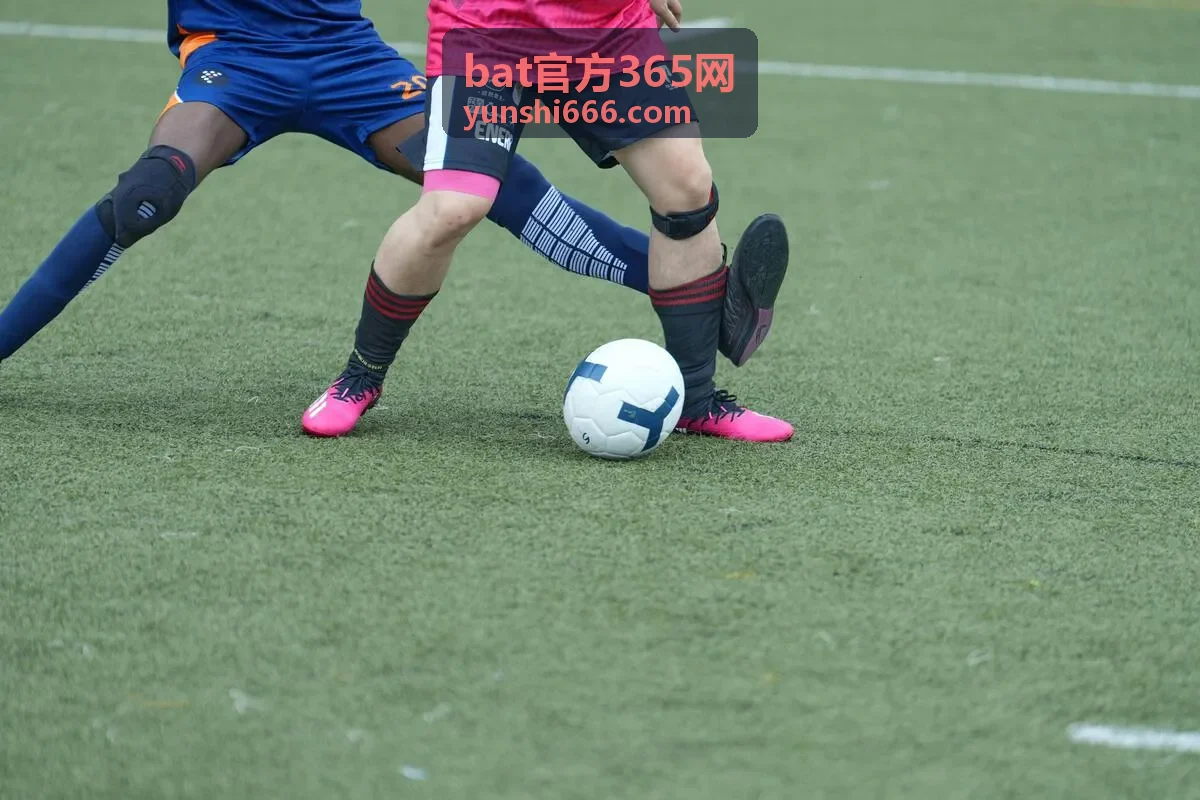 bat官方365网验收与售后回访说明